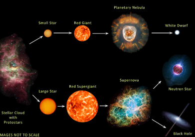 Formation of Black Hole