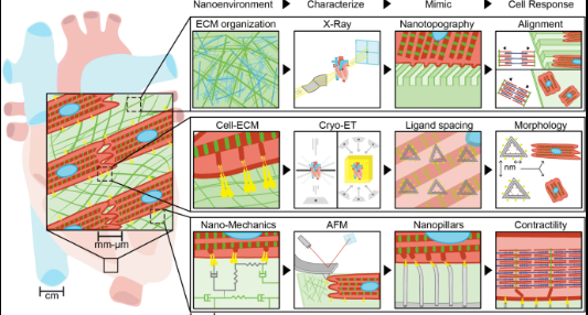 Nanotech Environment